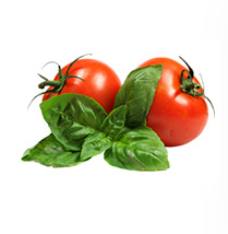Tomato